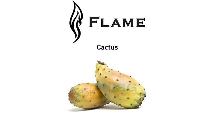 Изображение Ароматизатор Flame Cactus Ароматизатор Flame Cactus