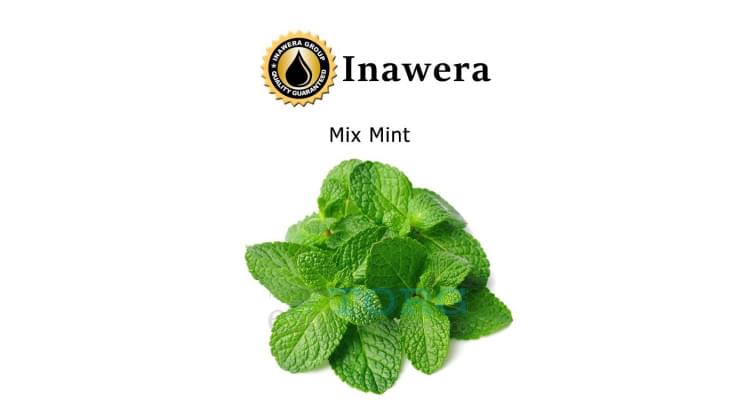 Изображение Ароматизатор Inawera Mix Mint Ароматизатор Inawera Mix Mint